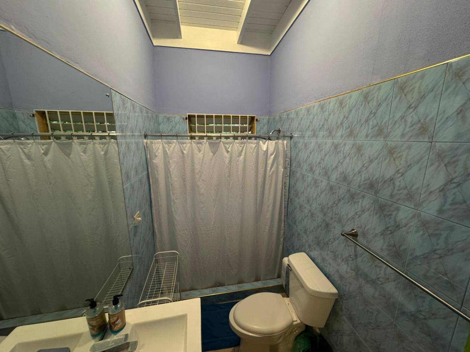 Shalom Suite 2, Manor Park Kingston Exteriér fotografie