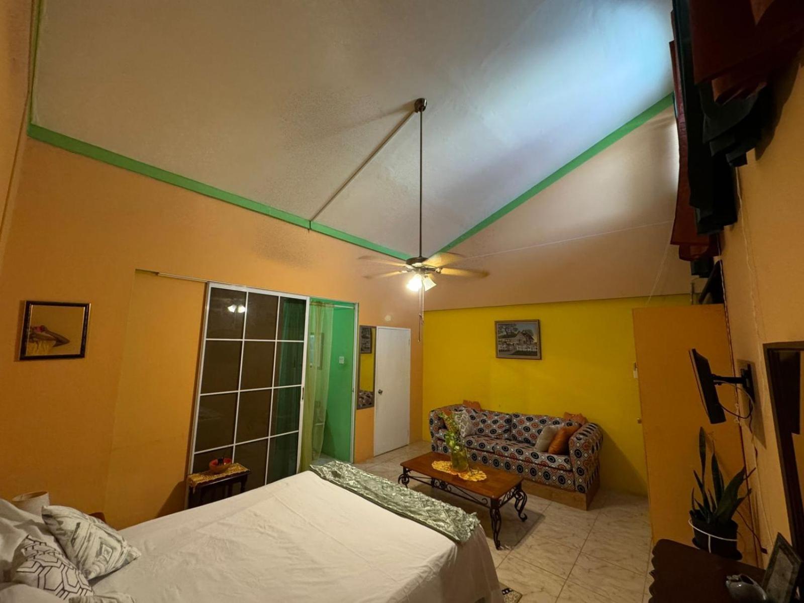 Shalom Suite 2, Manor Park Kingston Exteriér fotografie